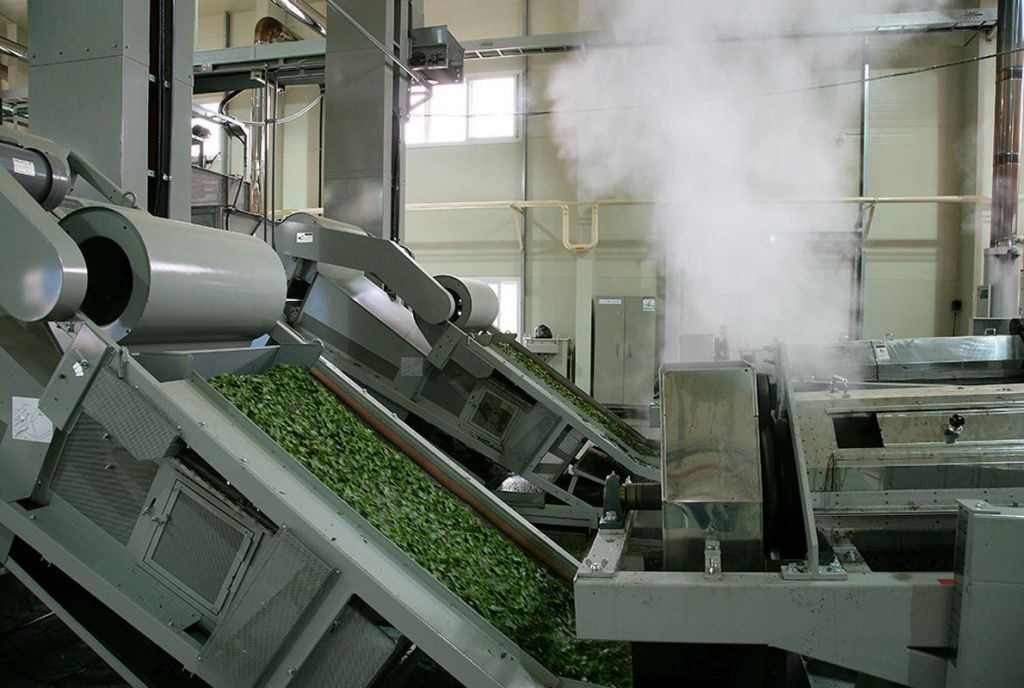 Производители сушки. Сушка чая. Производство чая. Обработка чая. Завод чая.